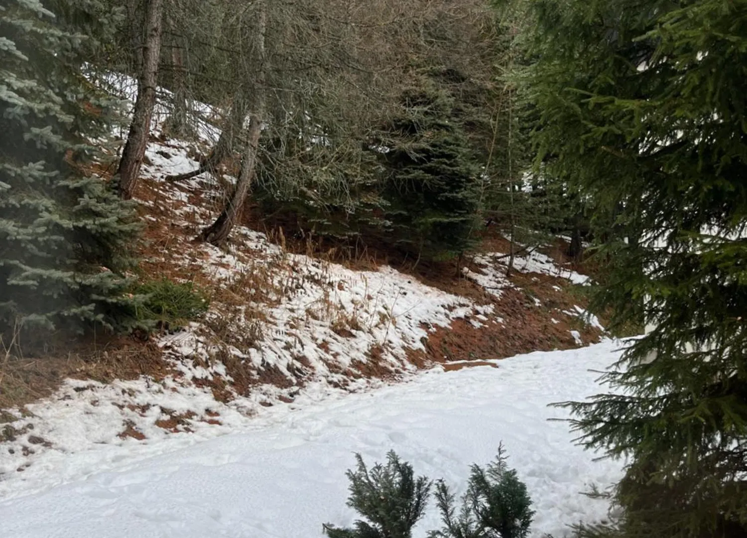 Appartement Les Menuires - 4 Personnes A 20 M Des Pistes Saint-Martin-de-Belleville Frankrijk